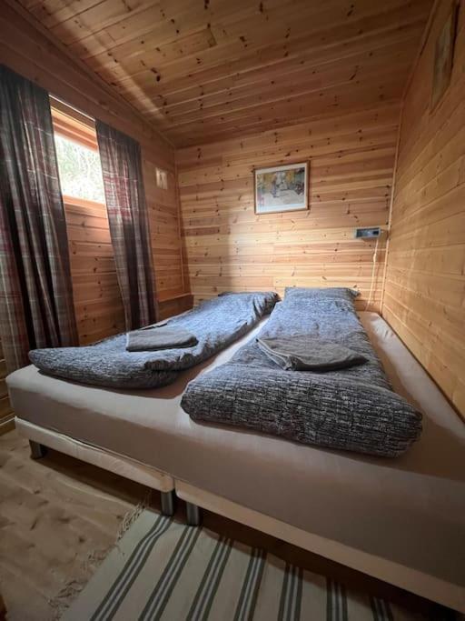 Cozy And Spacious Cabin Svensby 외부 사진